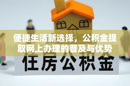 芦淞便捷生活新选择，公积金提取网上办理的普及与优势
