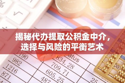 芦淞揭秘代办提取公积金中介，选择与风险的平衡艺术