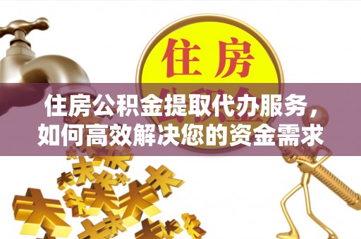 芦淞住房公积金提取代办服务，如何高效解决您的资金需求