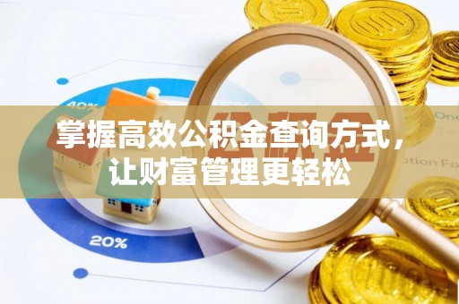 芦淞掌握高效公积金查询方式，让财富管理更轻松