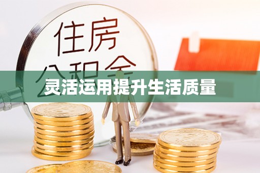 芦淞灵活运用提升生活质量