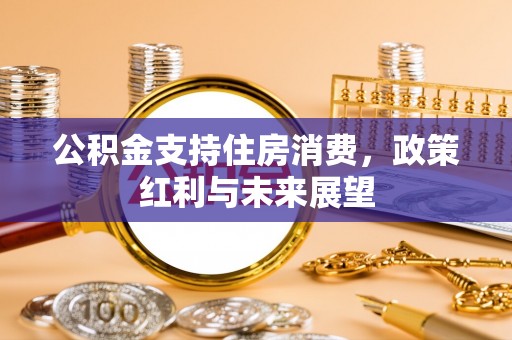 芦淞公积金支持住房消费，政策红利与未来展望