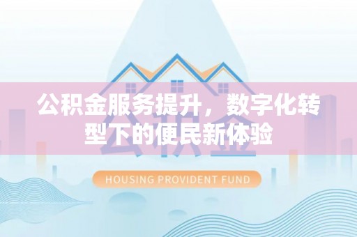 芦淞公积金服务提升，数字化转型下的便民新体验