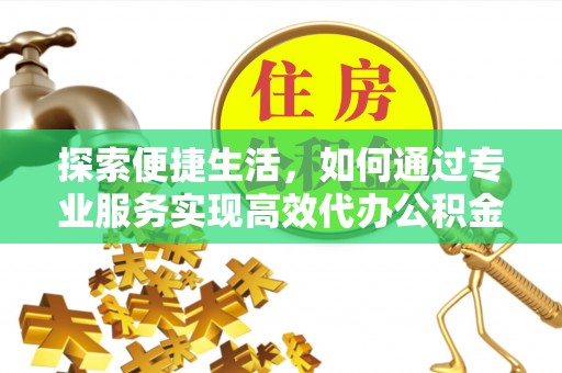 芦淞探索便捷生活，如何通过专业服务实现高效代办公积金提取