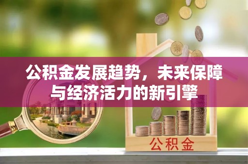 芦淞公积金发展趋势，未来保障与经济活力的新引擎