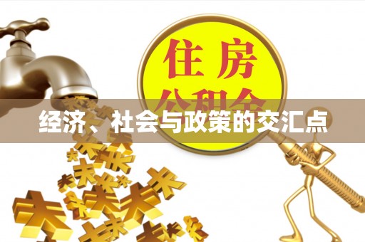 芦淞经济、社会与政策的交汇点