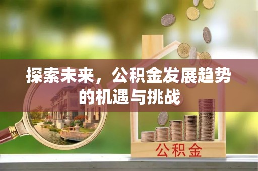 芦淞探索未来，公积金发展趋势的机遇与挑战