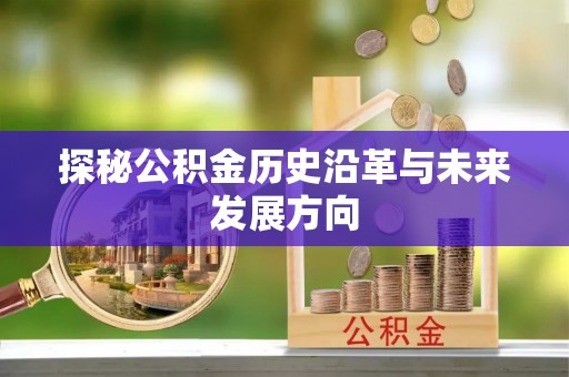 芦淞探秘公积金历史沿革与未来发展方向