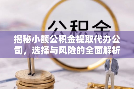 芦淞揭秘小额公积金提取代办公司，选择与风险的全面解析