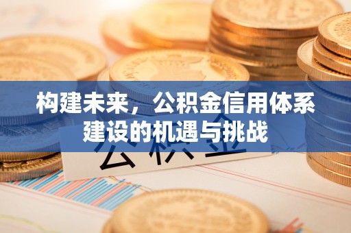 芦淞构建未来，公积金信用体系建设的机遇与挑战