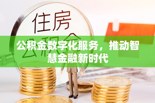 芦淞公积金数字化服务，推动智慧金融新时代