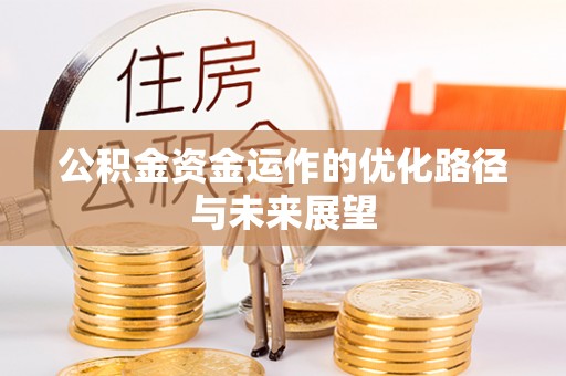 芦淞公积金资金运作的优化路径与未来展望