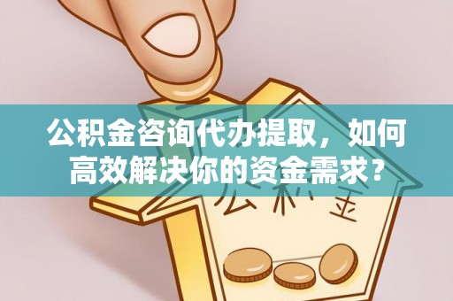 芦淞公积金咨询代办提取，如何高效解决你的资金需求？