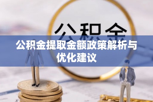 芦淞公积金提取金额政策解析与优化建议