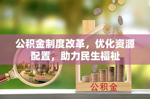 芦淞公积金制度改革，优化资源配置，助力民生福祉