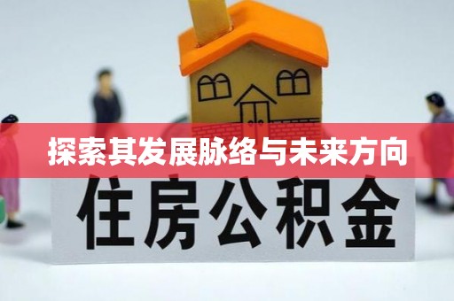 芦淞探索其发展脉络与未来方向