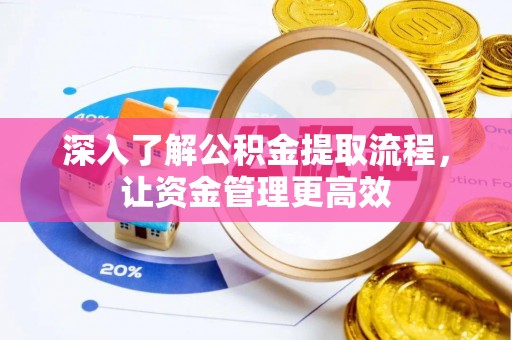 芦淞深入了解公积金提取流程，让资金管理更高效