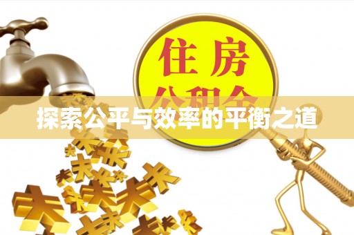 芦淞探索公平与效率的平衡之道