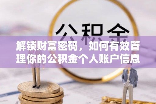 芦淞解锁财富密码，如何有效管理你的公积金个人账户信息