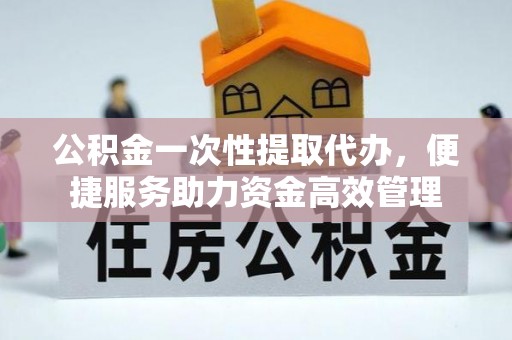 芦淞公积金一次性提取代办，便捷服务助力资金高效管理