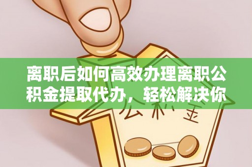 芦淞离职后如何高效办理离职公积金提取代办，轻松解决你的后顾之忧