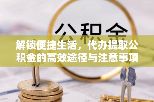 芦淞解锁便捷生活，代办提取公积金的高效途径与注意事项
