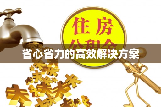 芦淞省心省力的高效解决方案