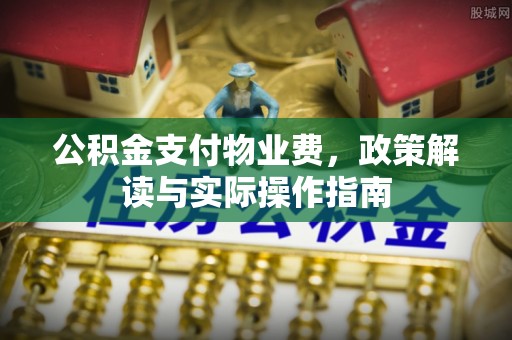 芦淞公积金支付物业费，政策解读与实际操作指南