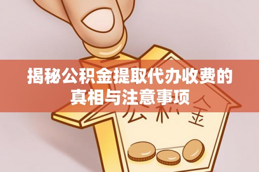芦淞揭秘公积金提取代办收费的真相与注意事项