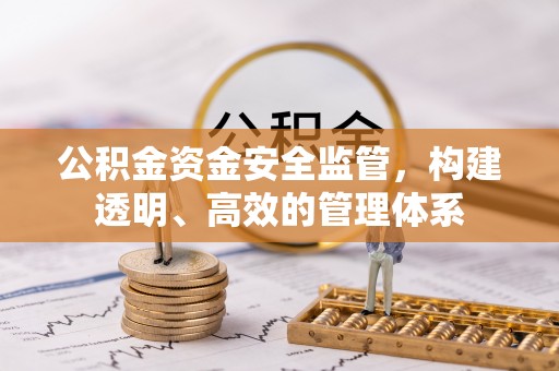芦淞公积金资金安全监管，构建透明、高效的管理体系