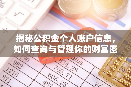 芦淞揭秘公积金个人账户信息，如何查询与管理你的财富密码