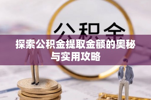芦淞探索公积金提取金额的奥秘与实用攻略