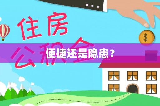 芦淞便捷还是隐患？