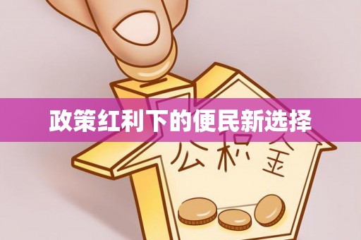 芦淞政策红利下的便民新选择