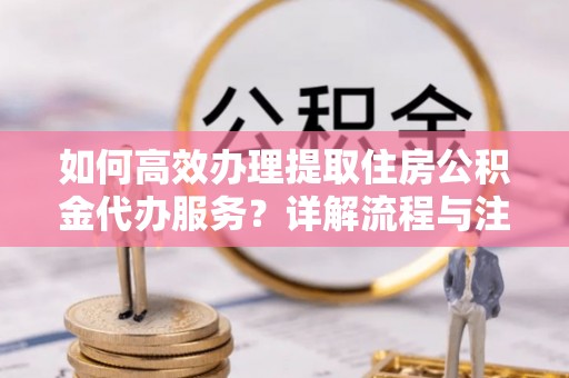 芦淞如何高效办理提取住房公积金代办服务？详解流程与注意事项