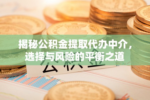 芦淞揭秘公积金提取代办中介，选择与风险的平衡之道