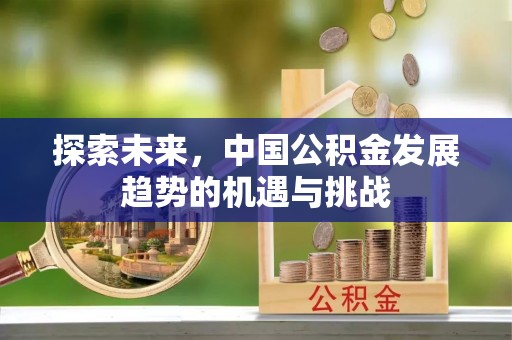 芦淞探索未来，中国公积金发展趋势的机遇与挑战