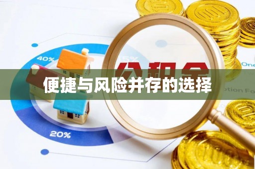 芦淞便捷与风险并存的选择