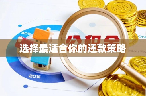 芦淞选择最适合你的还款策略