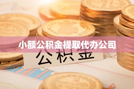 芦淞小额公积金提取代办公司