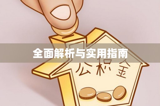 芦淞全面解析与实用指南