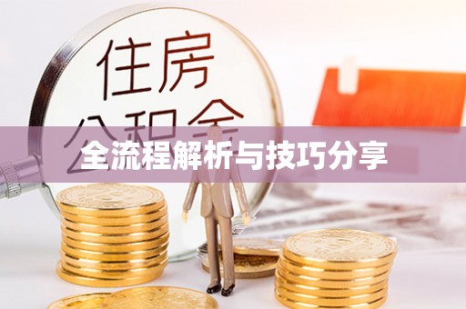 芦淞全流程解析与技巧分享