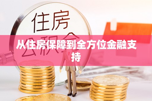 芦淞从住房保障到全方位金融支持