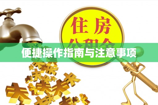 芦淞便捷操作指南与注意事项